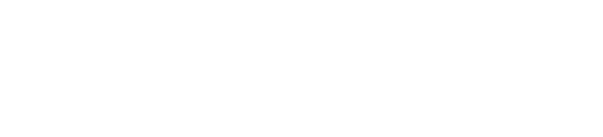 Databridge Business Solutions